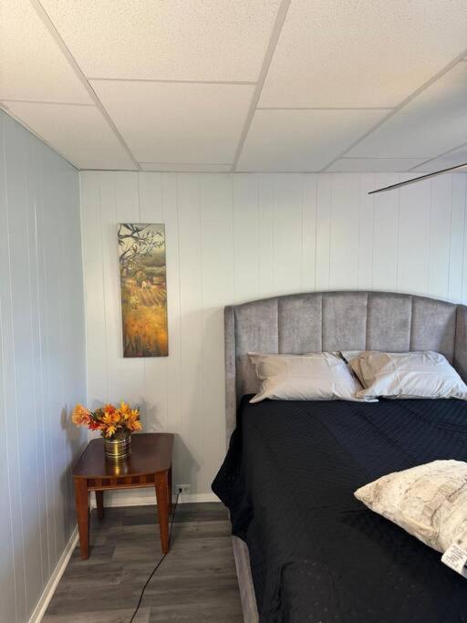 Tranquil Zen Oasis, Banksville, Pittsburgh, Canton Avenue Apartamento