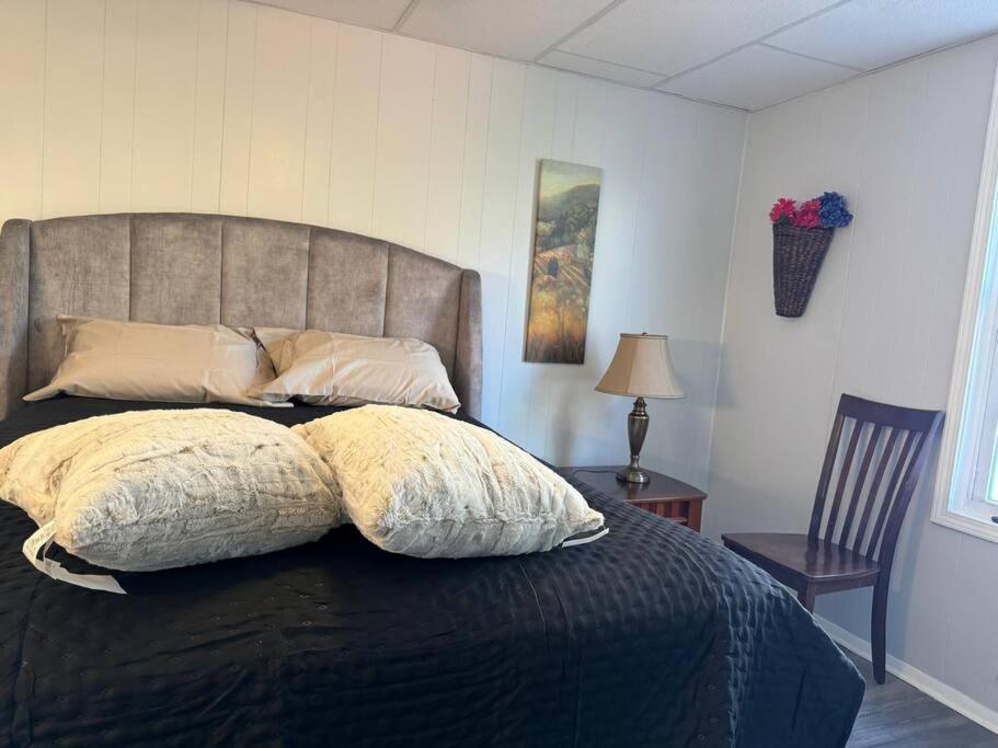 Apartamento Tranquil Zen Oasis, Banksville, Pittsburgh, Canton Avenue