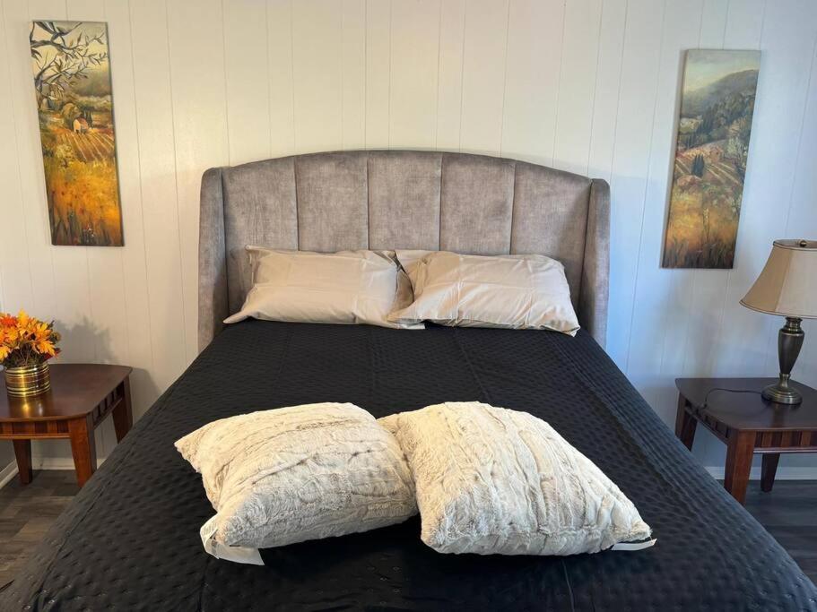 Apartment Tranquil Zen Oasis, Banksville, Pittsburgh, Canton Avenue Pittsburgh